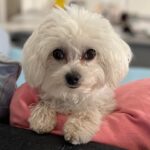 TINY