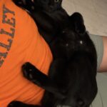 Binx