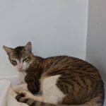 Sam