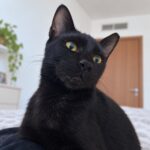 Binx