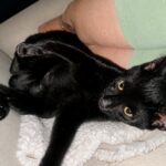 Binx