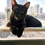 Binx