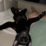 Binx