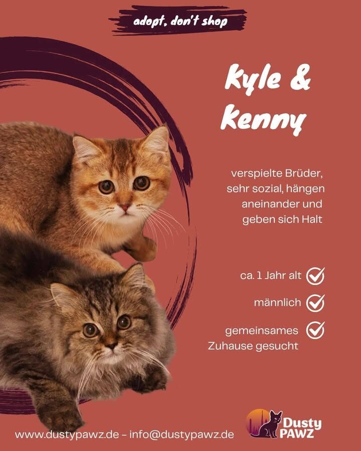 Kenny & Kyle - Zwei Herzen, ein Zuhause gesucht! 💜