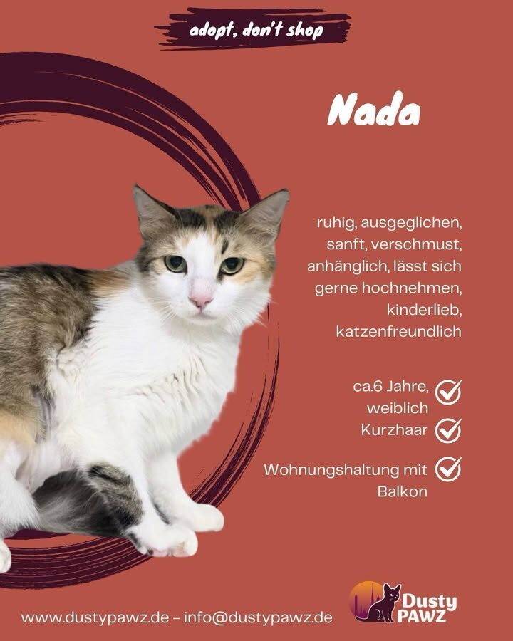 NADA sucht ein Zuhause – die tapfere Mama mit dem großen Herz 🐾❤️